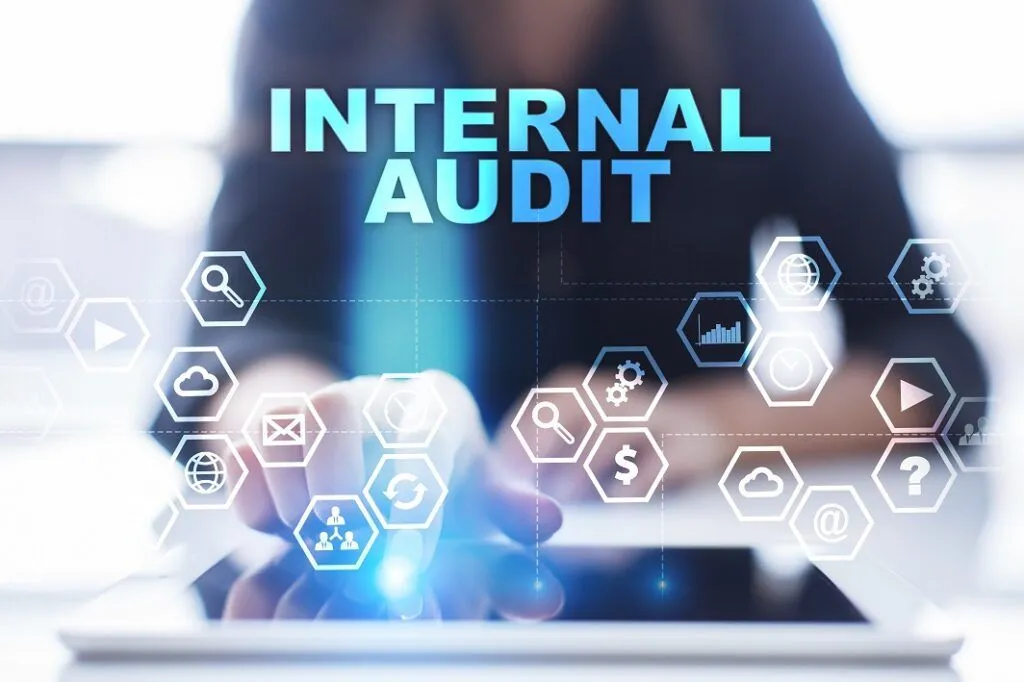 Internal Audit Course BrandAddition